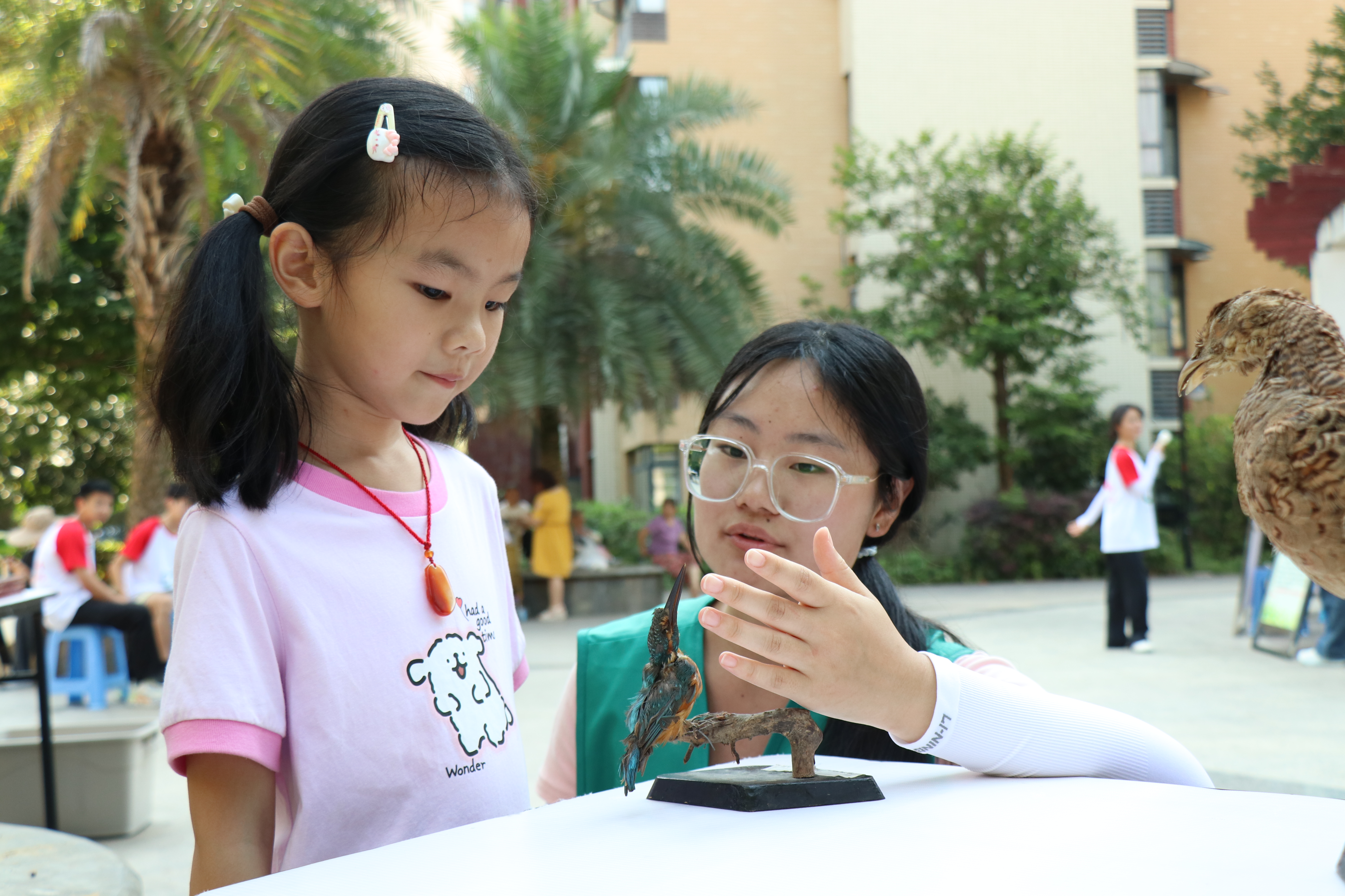 图为标本讲解  刘羽婕摄.JPG