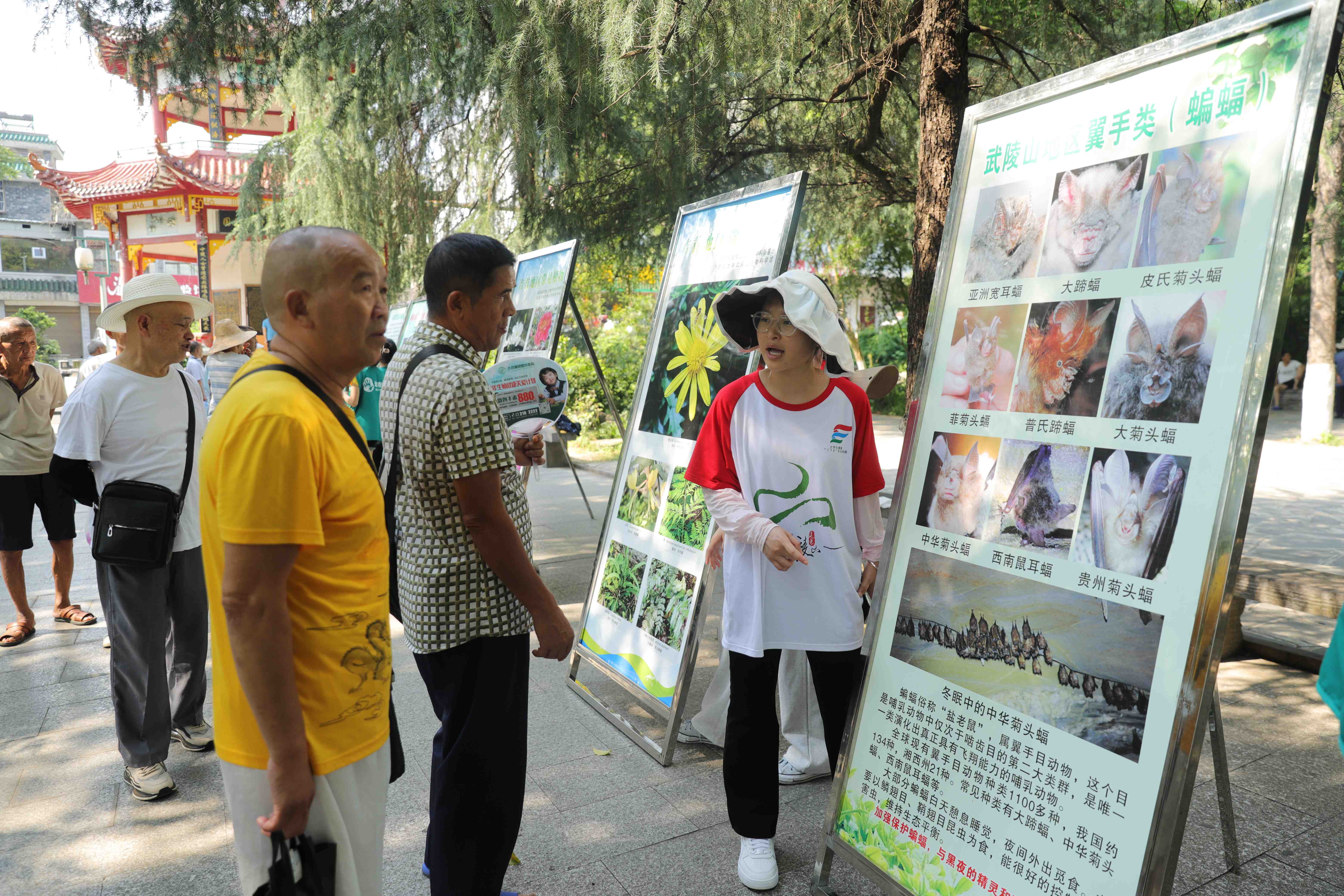 图为展板讲解 (1).JPG